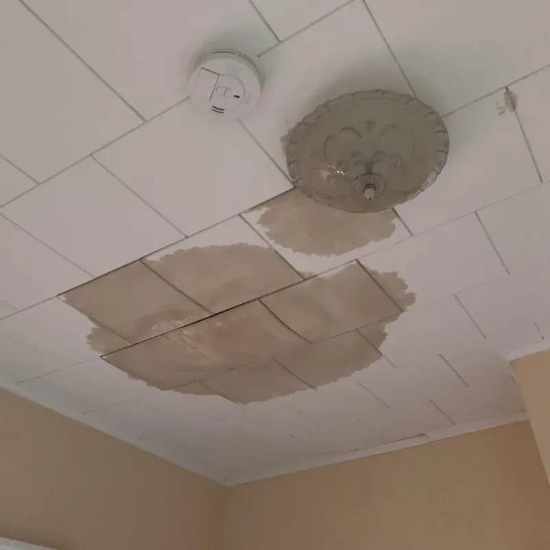Ceiling Water Damage Repair in Prince George, VA
