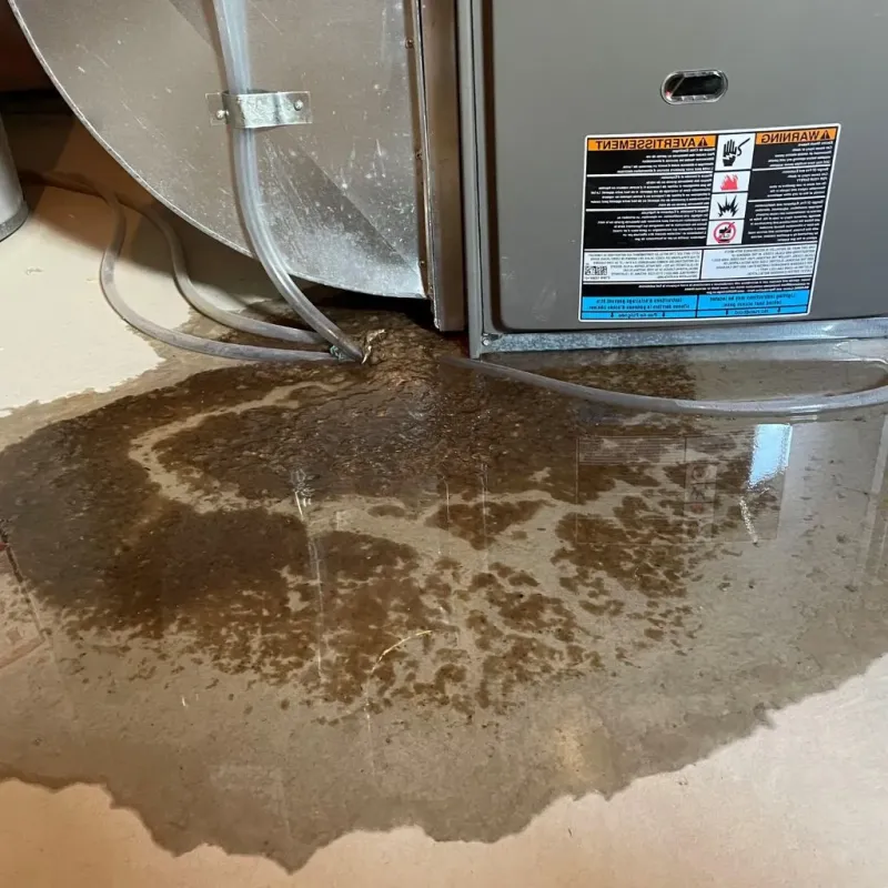 Pipe Burst and Leak Restoration in Prince George, VA
