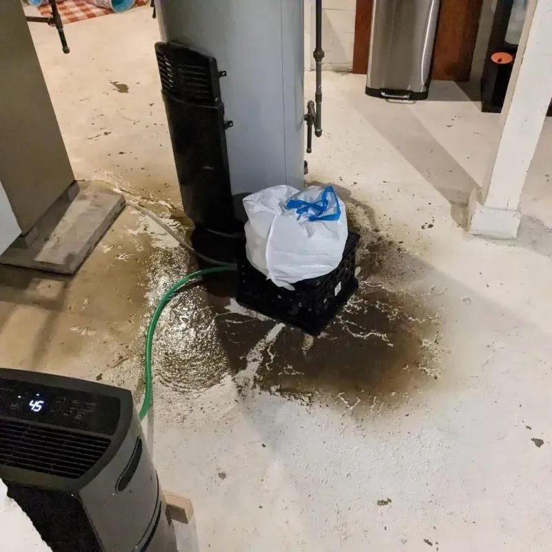 Sewage Backup Cleanup Service in Prince George, VA